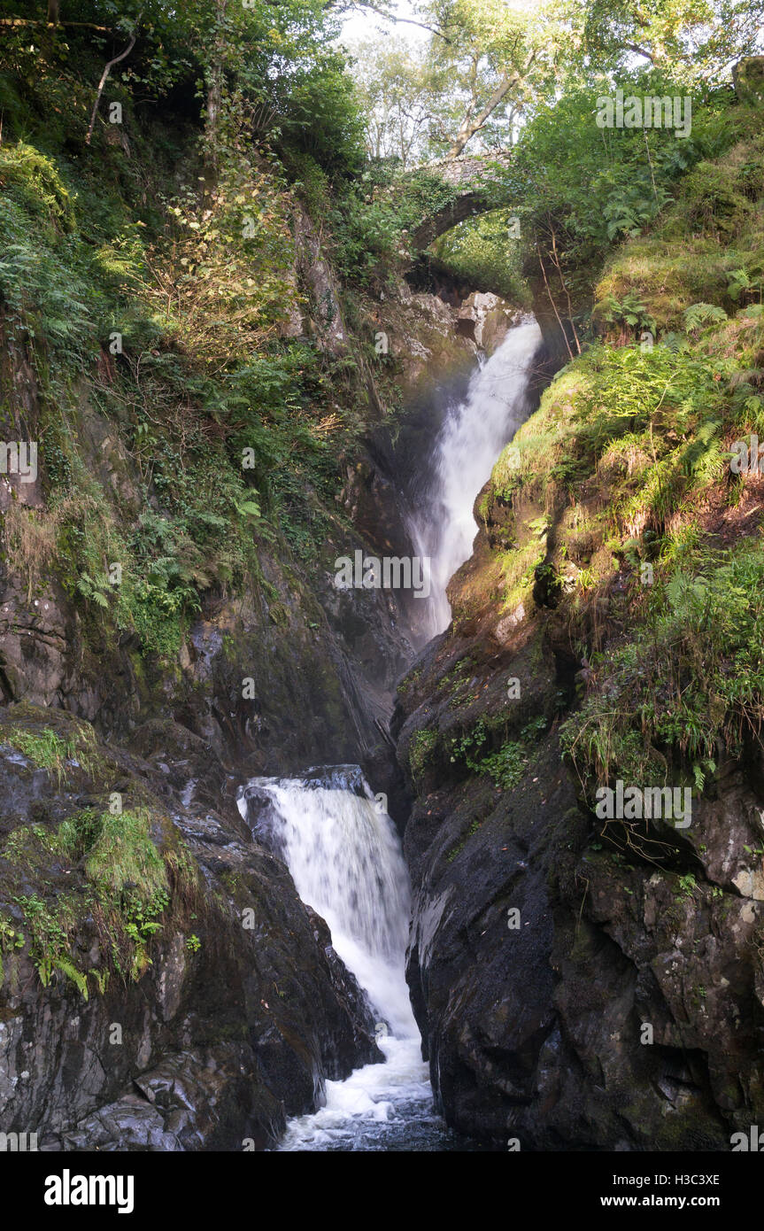 Aira Force cascata, Matterdale, Cumbria, England, Regno Unito Foto Stock