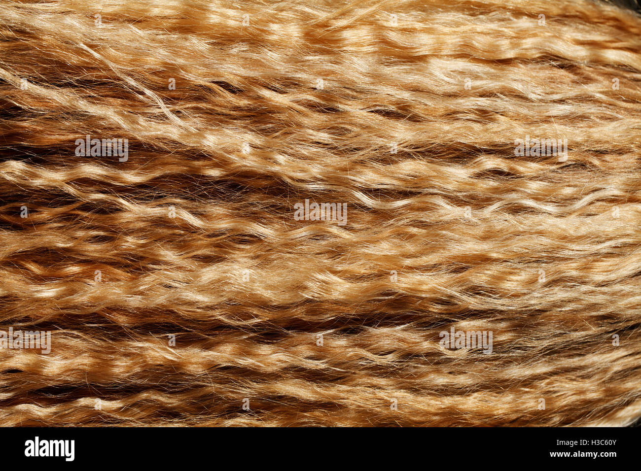 Un capelli ricci ragazza bionda close-up texture Foto Stock