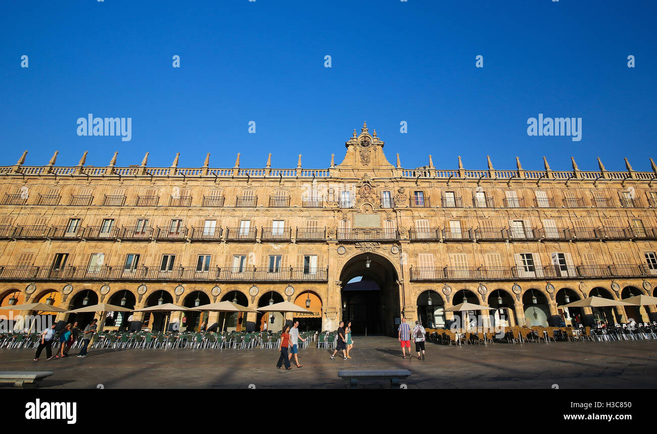 La Plaza Mayor (piazza principale) in Salamanca, Spagna Foto Stock