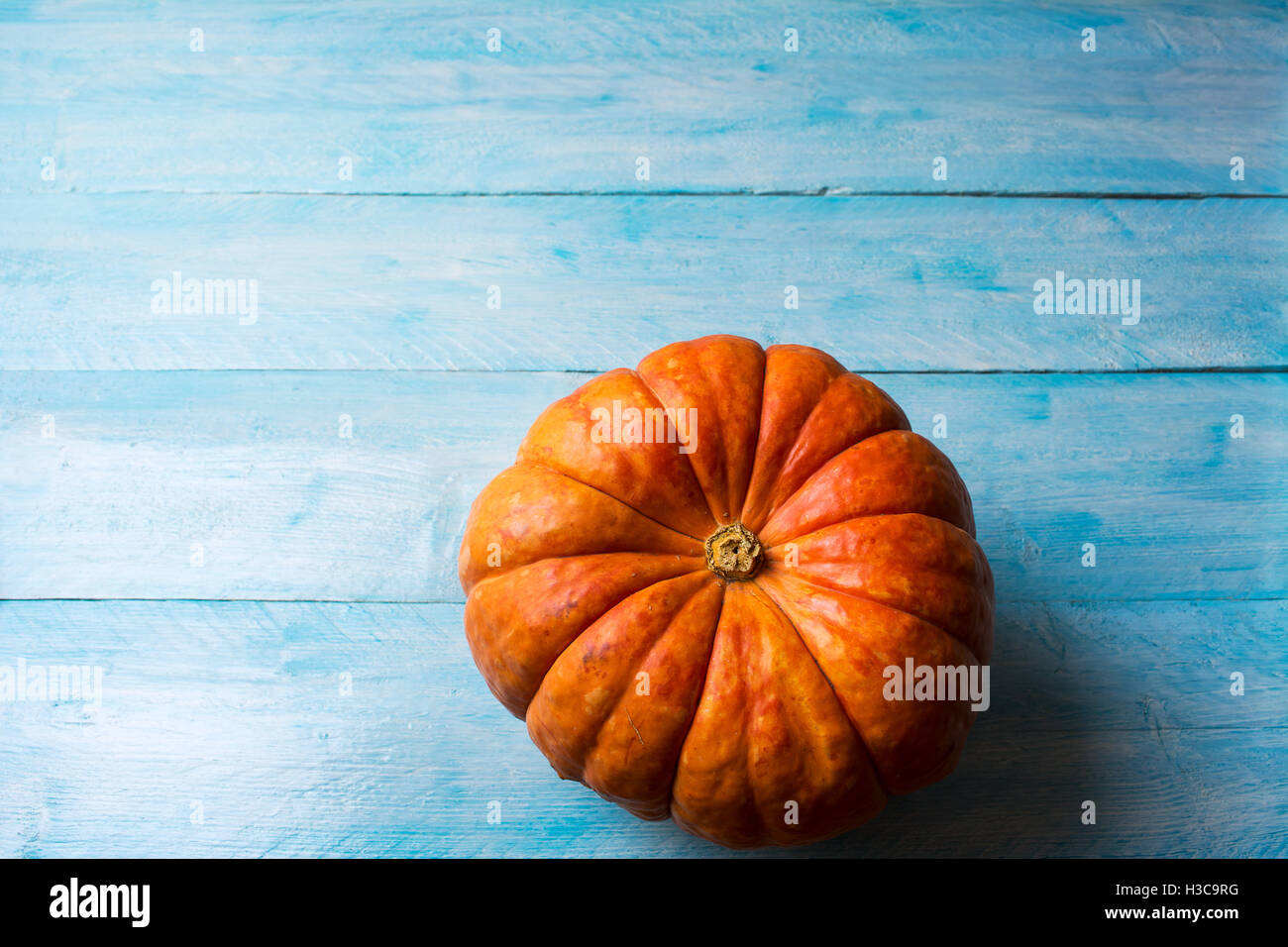Zucche mature sul blu sullo sfondo di legno. Ringraziamento lo sfondo con la zucca. Caduta dello sfondo. Copia dello spazio. Foto Stock