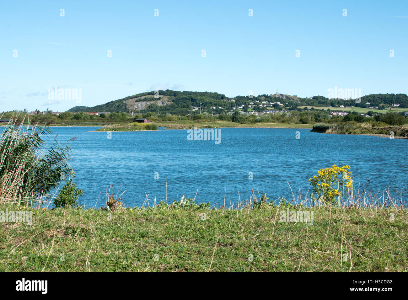 Conwy RSPB riserva naturale Foto Stock