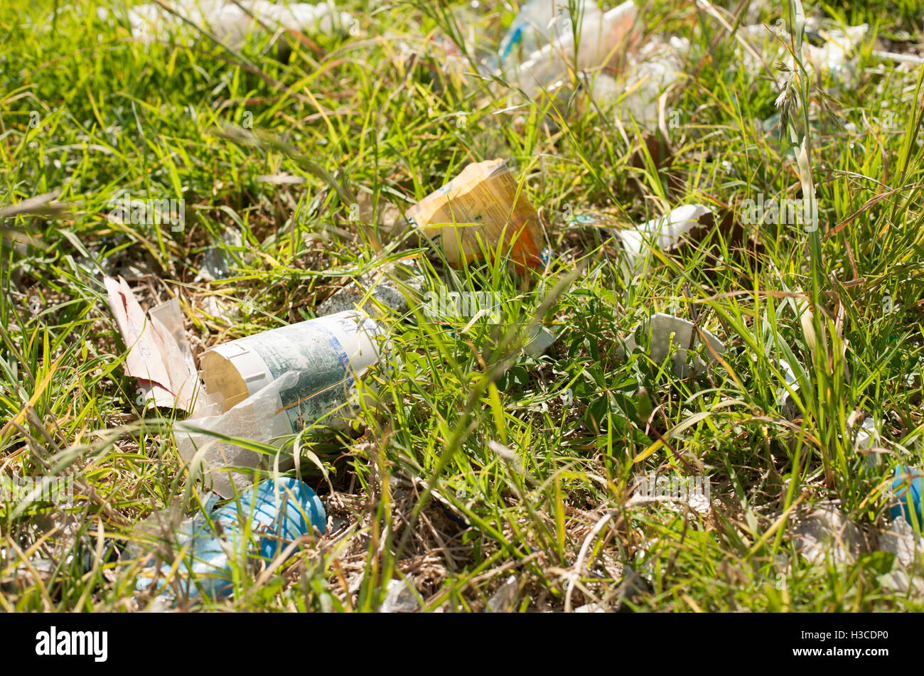 Cestino disseminati sul terreno Foto Stock