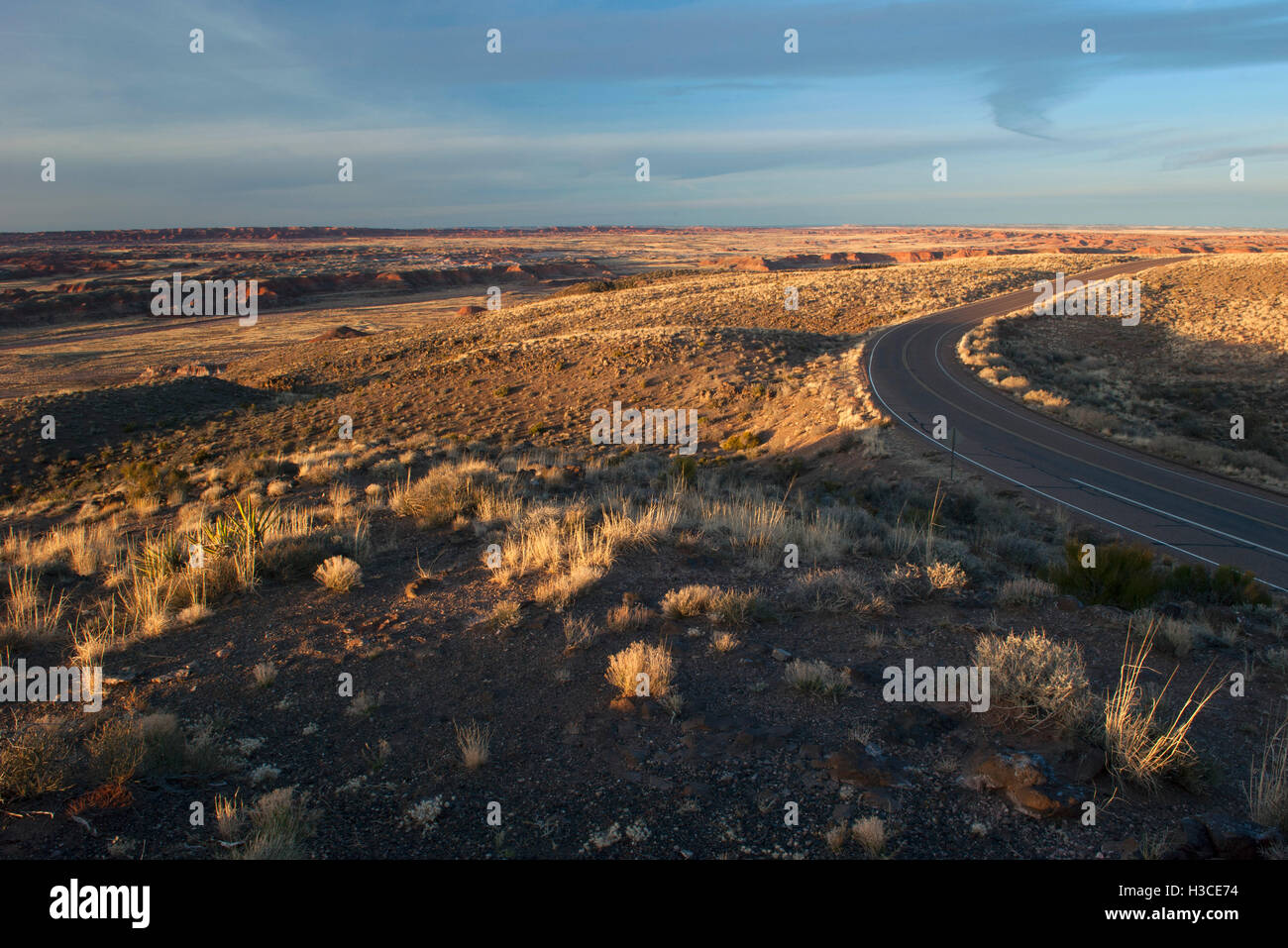La strada attraverso il paesaggio del deserto in Arizona, Stati Uniti d'America Foto Stock