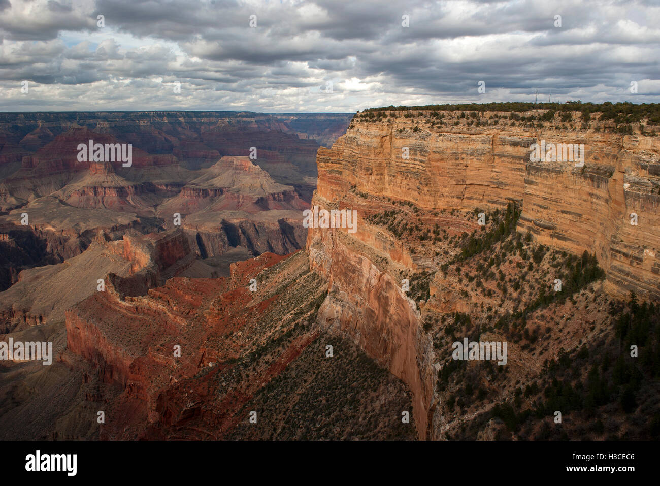 Il Grand Canyon, Arizona, Stati Uniti d'America Foto Stock