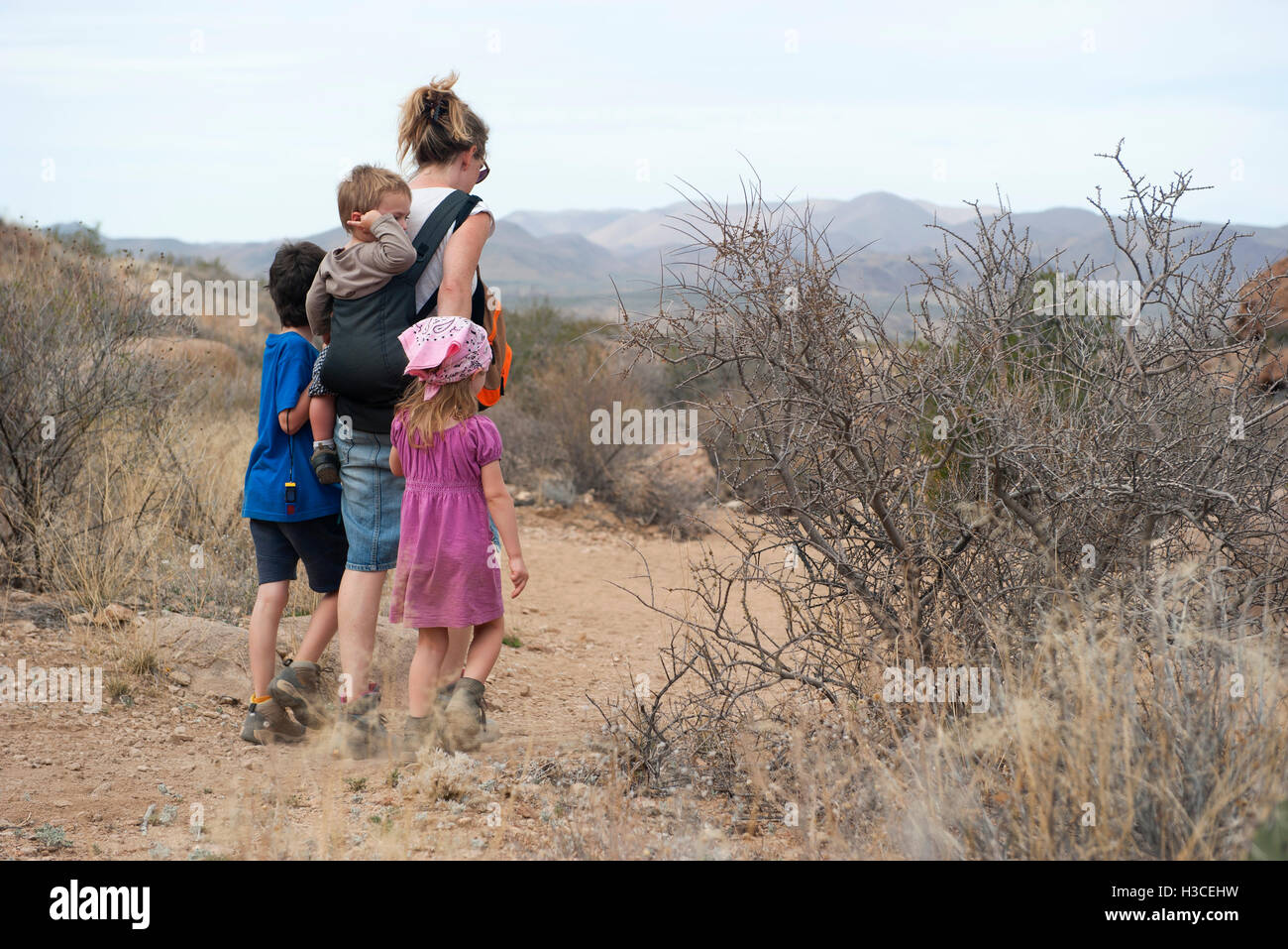 Madre e bambini escursioni nel deserto, il Parco nazionale di Big Bend, Texas, Stati Uniti d'America Foto Stock