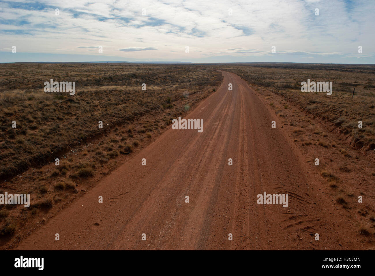 Strada sterrata attraverso arido paesaggio Foto Stock