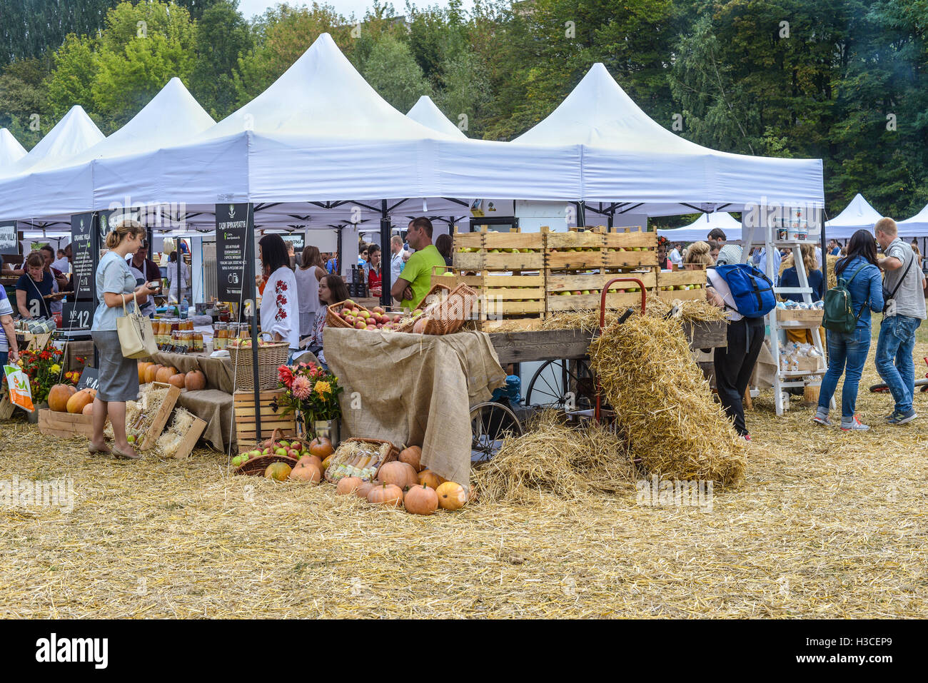 I produttori locali presentato al mercato degli agricoltori di buon cibo - Mele, zucche, etc Foto Stock