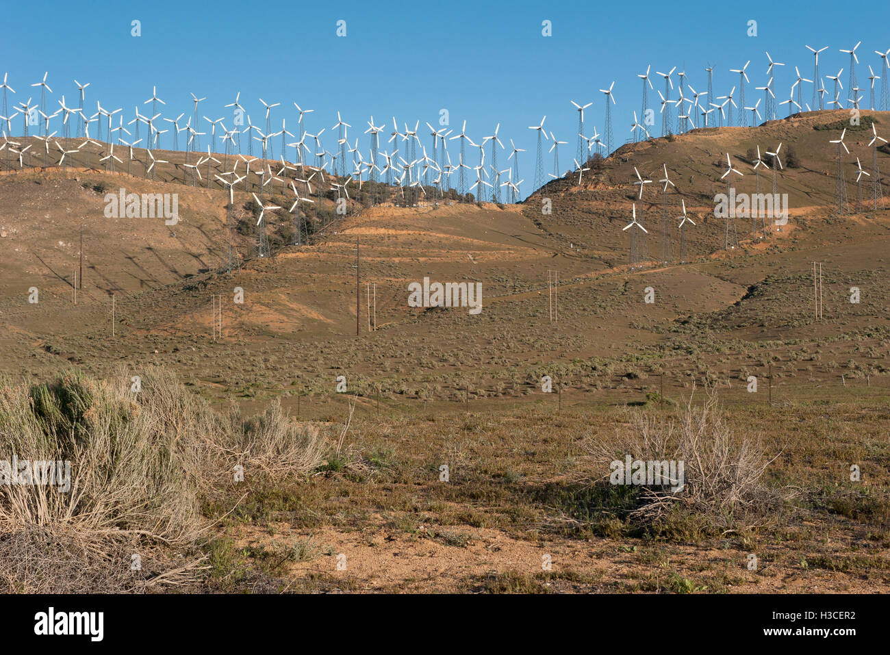 Wind Farm in una regione arida della California, Stati Uniti d'America Foto Stock