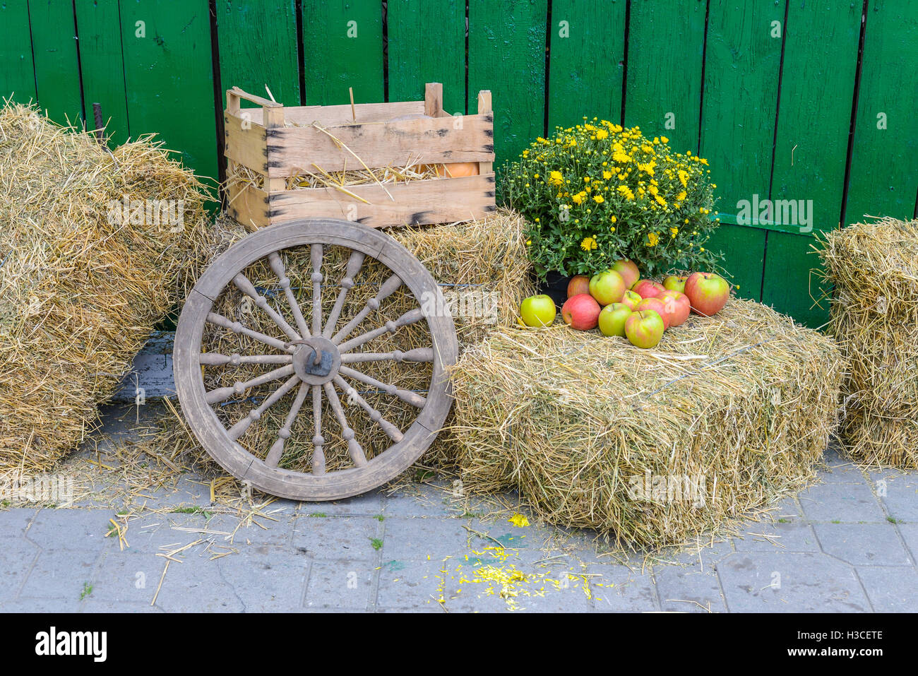 Kiev mercato agricolo all'aperto di installazione Foto Stock