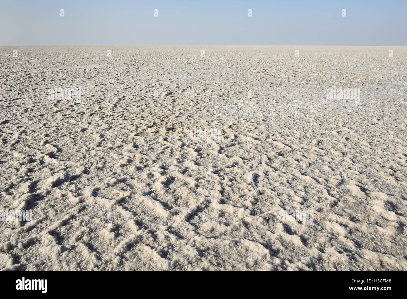 Deserto di sale in India nello stato del Gujarat Foto Stock