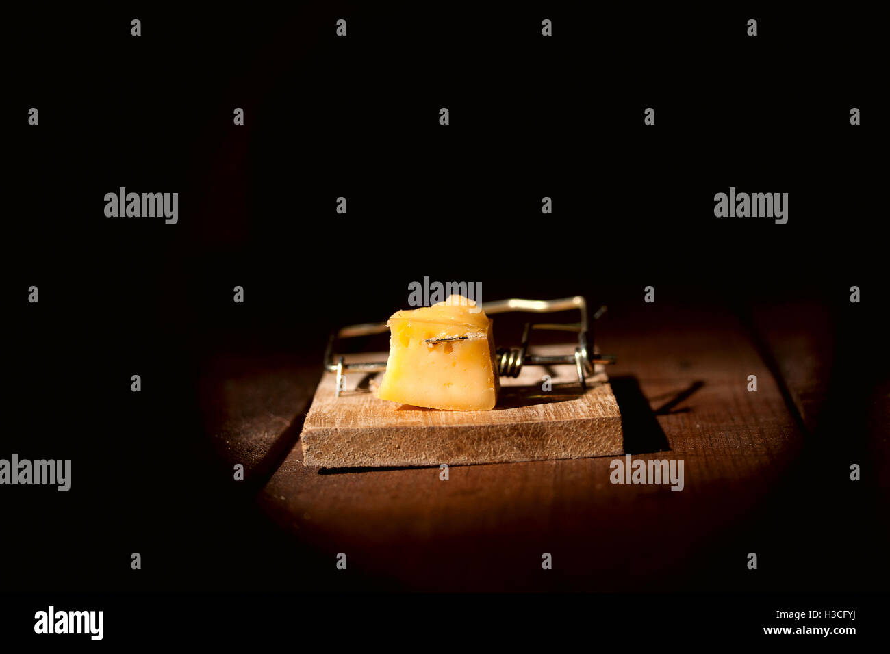 Carica mousetrap formaggio Foto Stock