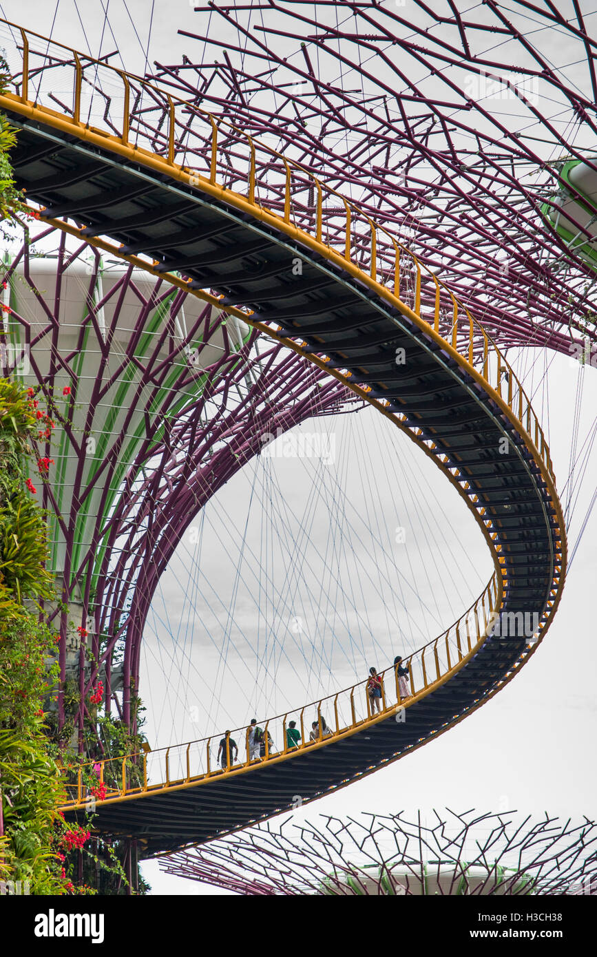 Singapore, giardini dalla baia, Supertree Grove, i visitatori su OCBC skyway elevato a piedi Foto Stock