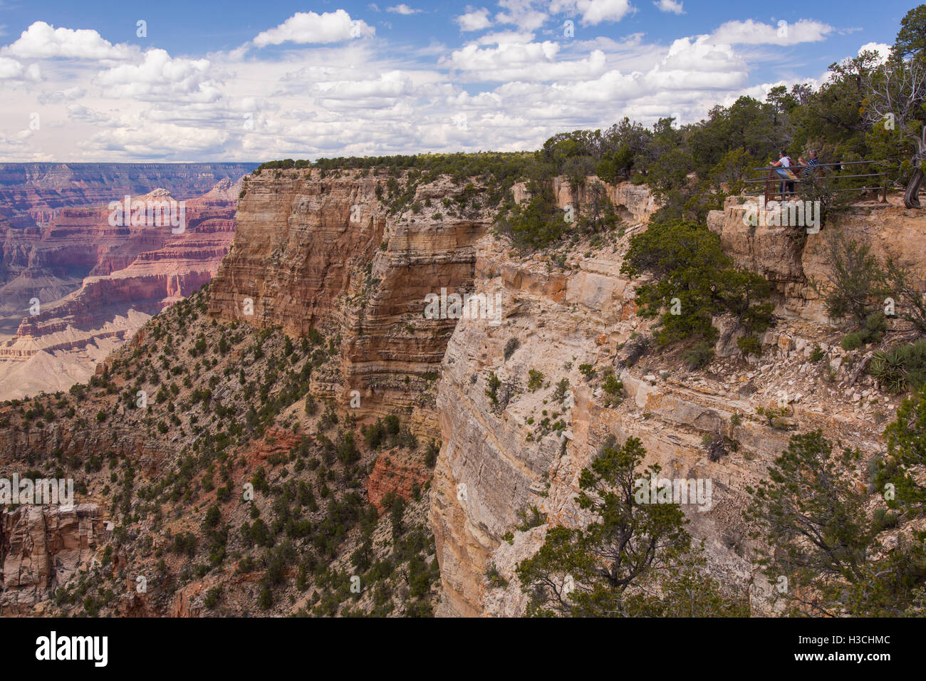 L'abisso, il Parco Nazionale del Grand Canyon, Arizona. Foto Stock