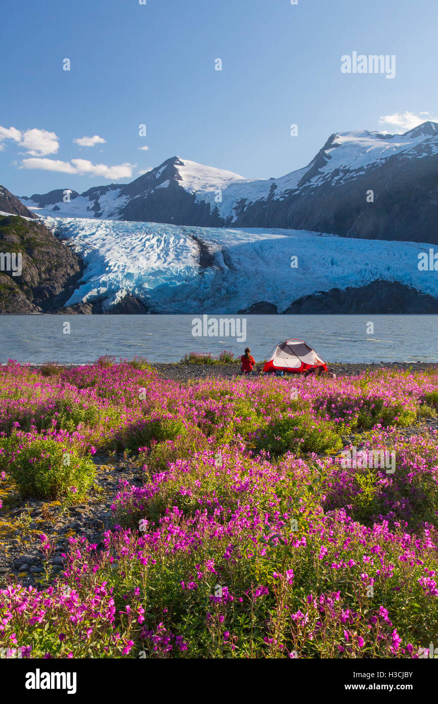 Camping vicino ghiacciaio Portage, Chugach National Forest, Alaska. Foto Stock