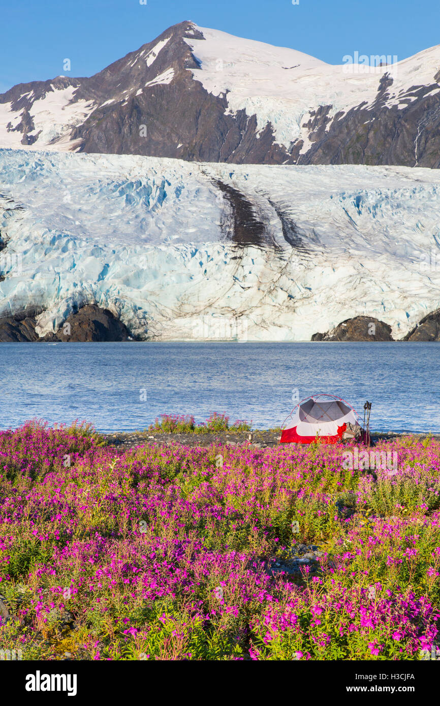 Camping vicino ghiacciaio Portage, Chugach National Forest, Alaska. Foto Stock