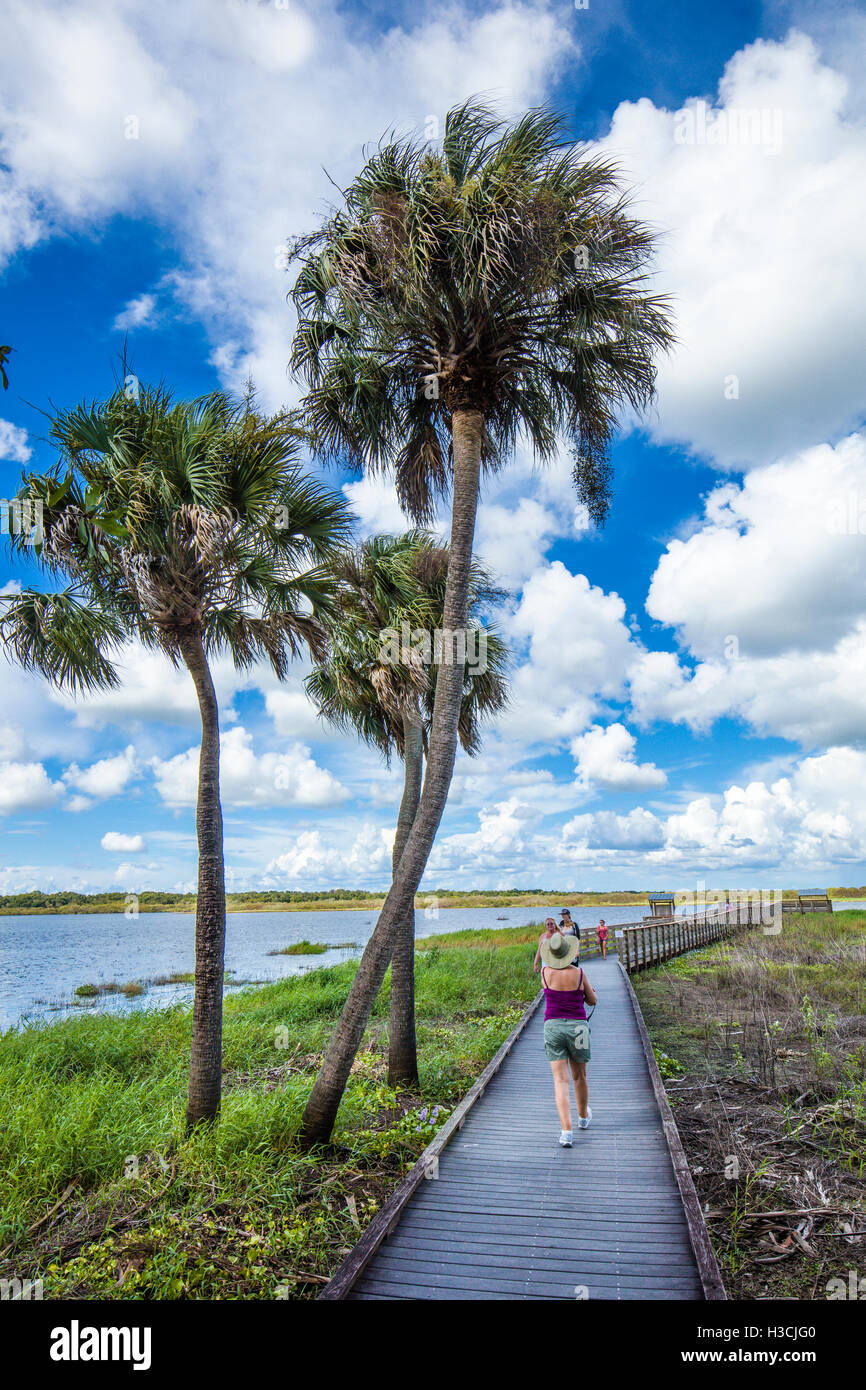 Myakka River State Park in Sarasota Florida Foto Stock