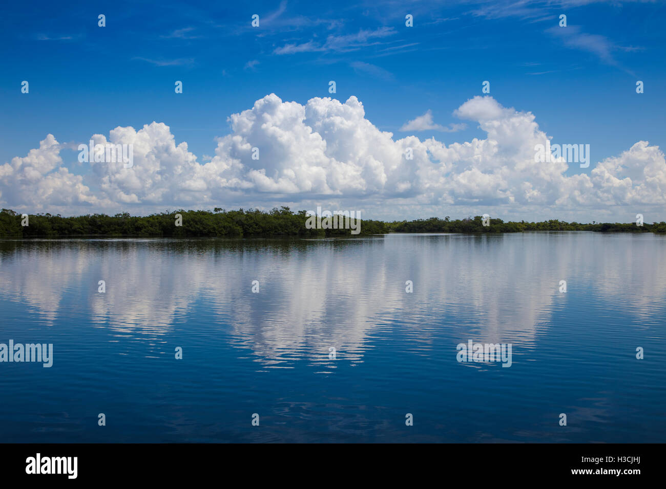 Le nuvole riflettono in acqua calma in J N Ding Darling National Wildlife Refuge su Sanibel Island Florida Foto Stock