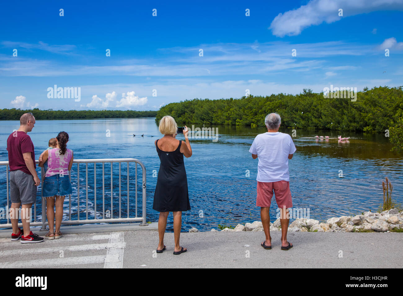 Persone visitato uccelli in J N Ding Darling National Wildlife Refuge su Sanibel Island Florida Foto Stock