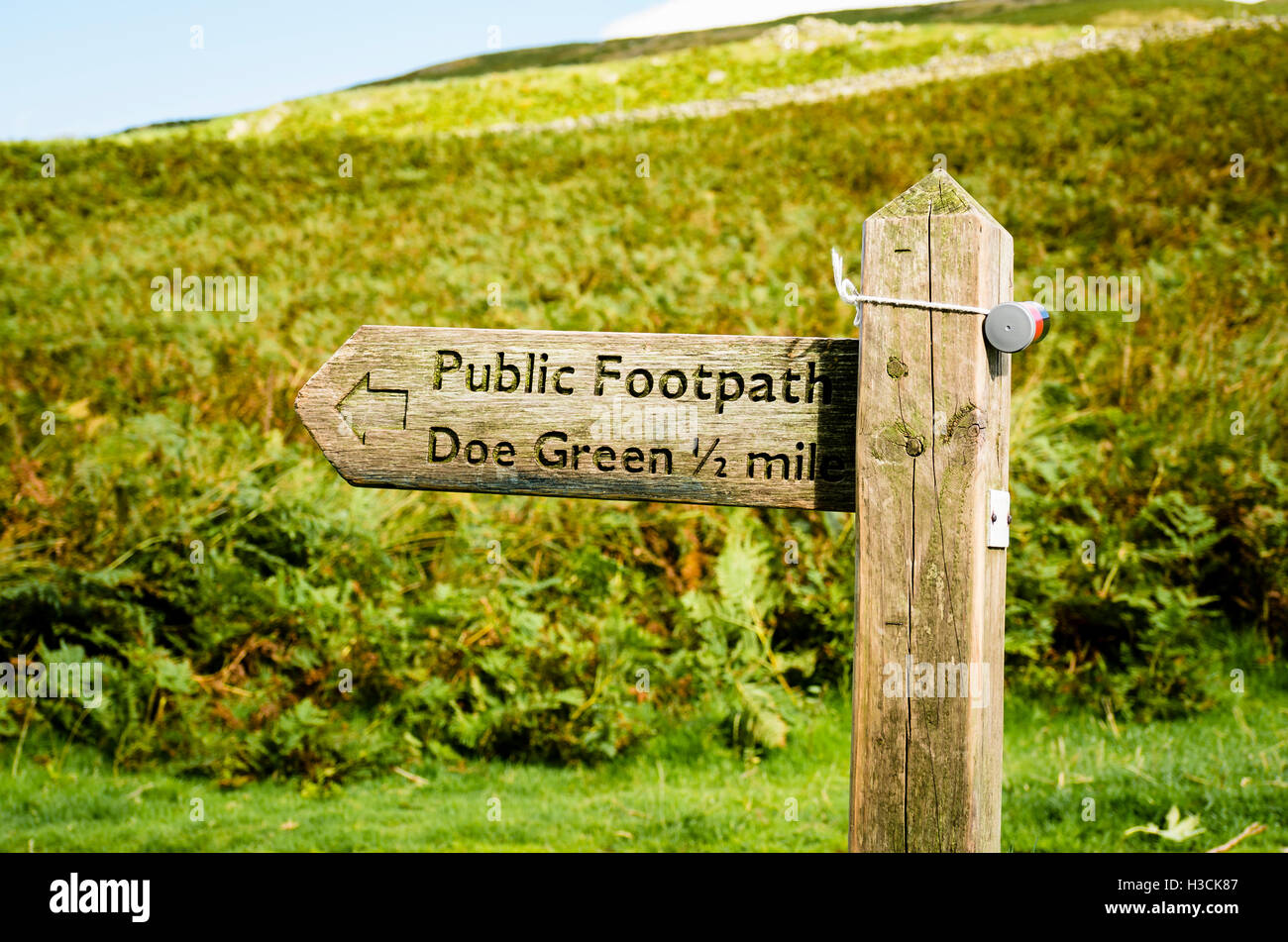 Cartello in legno nel Lake District inglese che indica il sentiero percorso per Doe Green Foto Stock