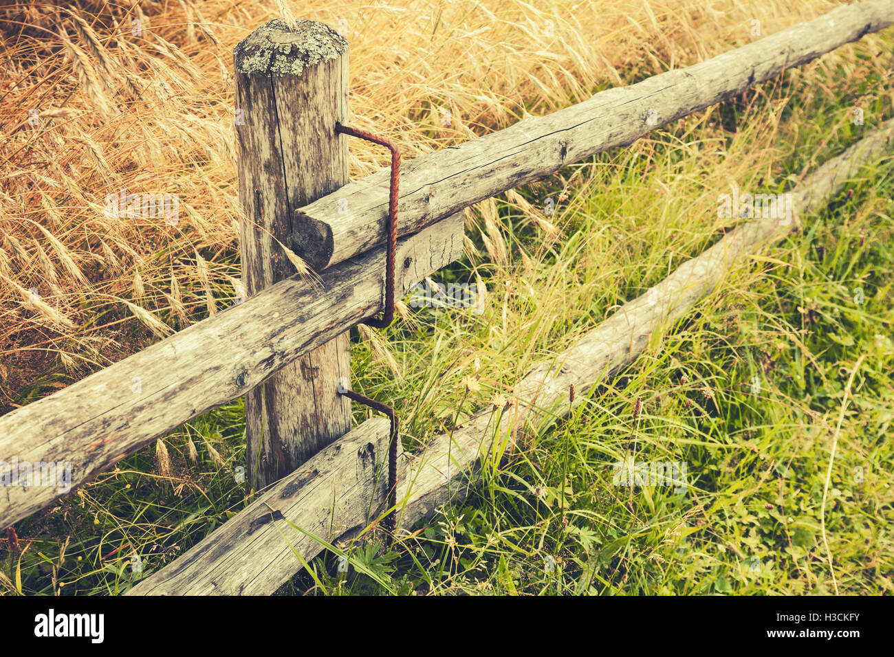 Rural staccionata in legno lungo il campo della segale nella stagione estiva. Retrò foto stilizzata con correzione delle tonalità effetto filtro vecchio stile Foto Stock