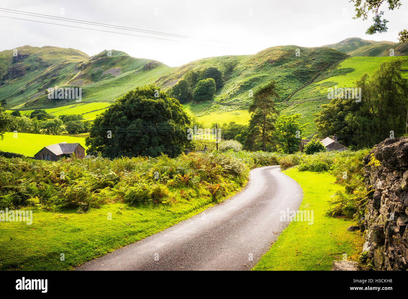 Una singola traccia strada che conduce in Martindale nel Lake District inglese Foto Stock