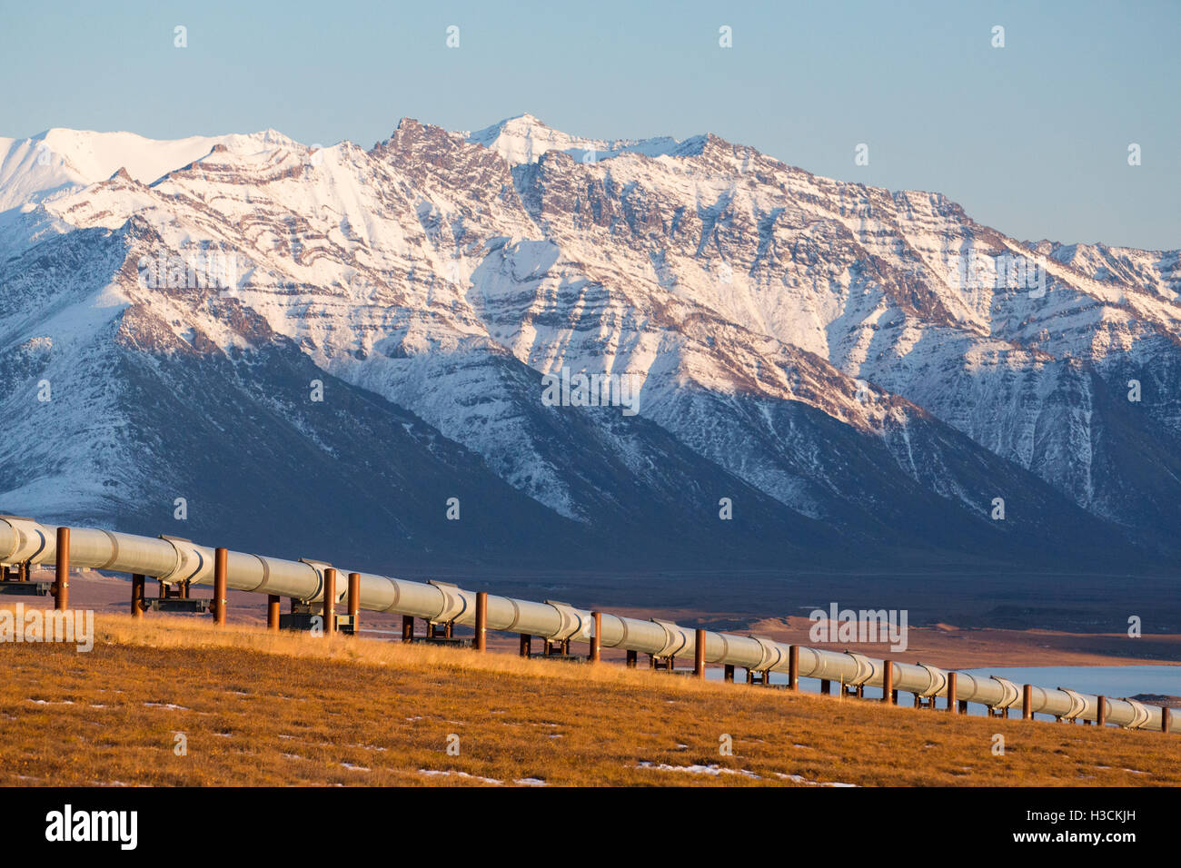 Trans-Alaska pipeline, il Brooks Range lungo la Dalton Highway, Alaska. Foto Stock