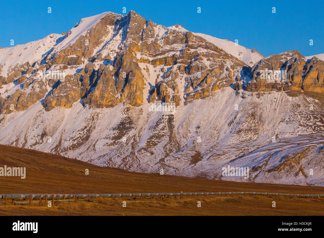 Trans-Alaska pipeline, il Brooks Range lungo la Dalton Highway, Alaska. Foto Stock