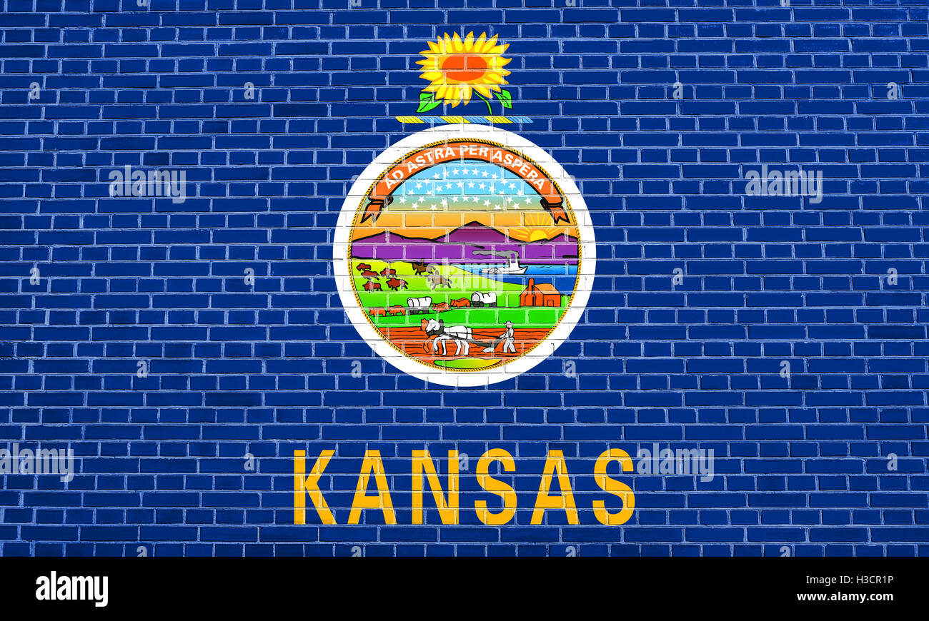 Kansan bandiera ufficiale, il simbolo. American elemento patriottico. Stati Uniti d'America banner. Stati Uniti d'America lo sfondo. Bandiera di stato americano Foto Stock