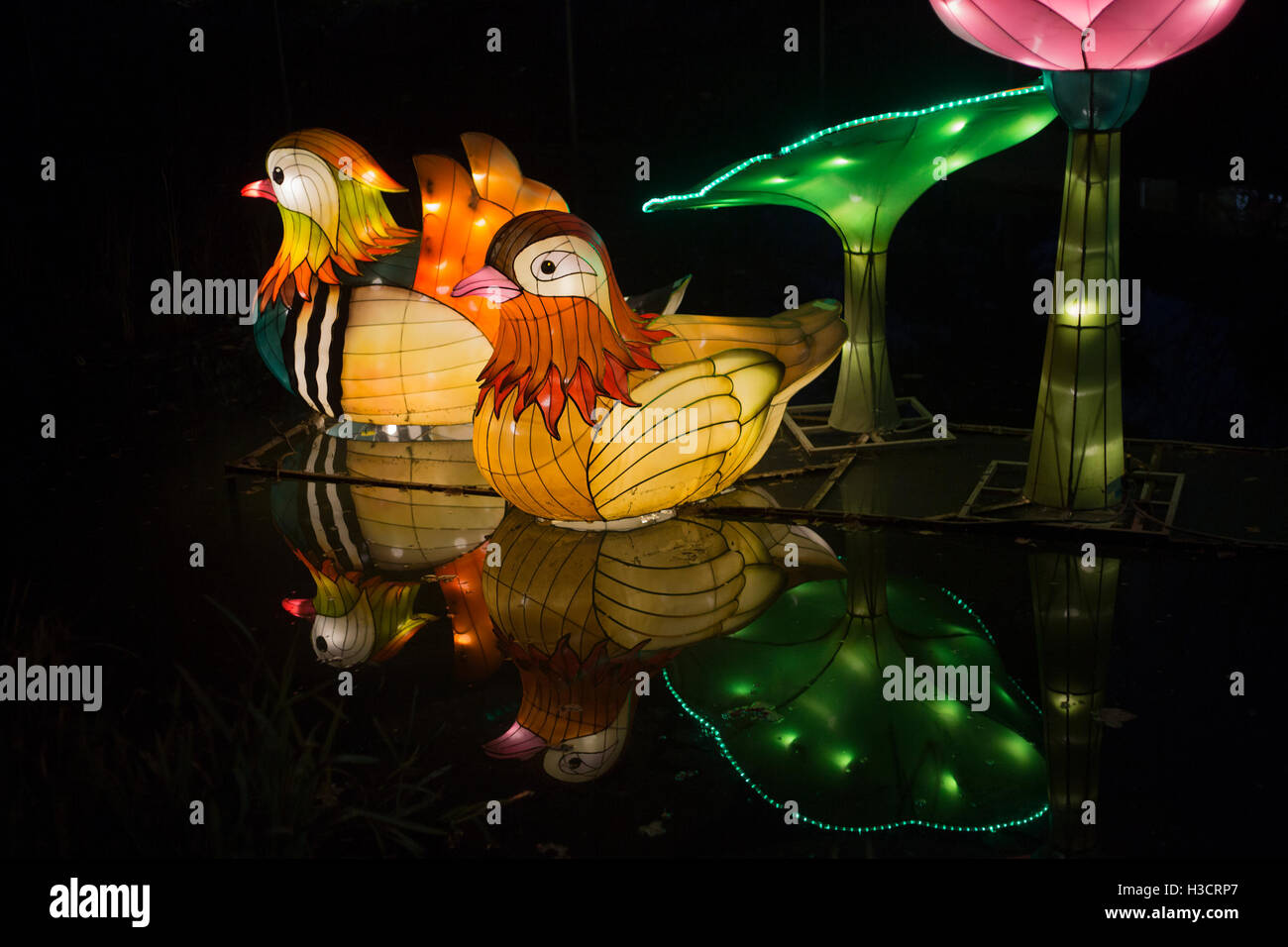Lanterne Mandarin Duck al Festival delle Lanterne Illuminasia di notte, fatte a mano da artigiani, alimentate da luci LED a risparmio energetico Foto Stock