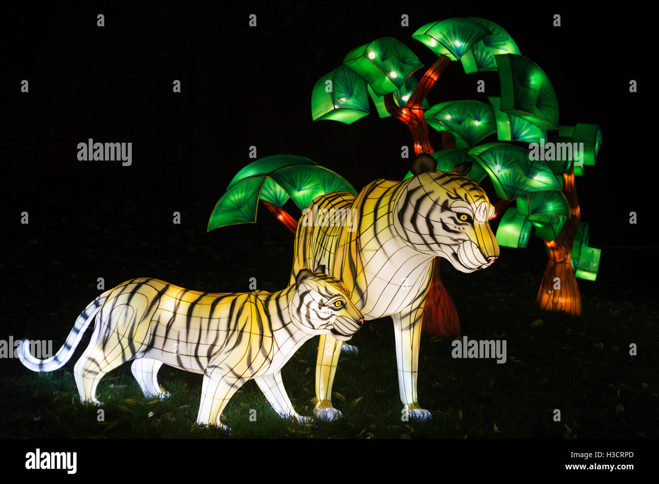 Lanterne Tiger al Festival delle Lanterne di Illuminasia, fatte a mano da artigiani, alimentate da luci a LED a basso consumo energetico Foto Stock