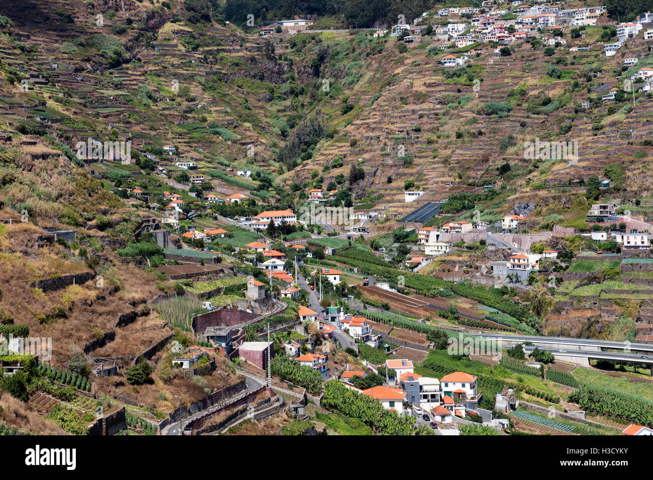 Agricoltura e paesaggi dell'isola di Madeira. Vista la terrazzato e terreno coltivato. Foto Stock