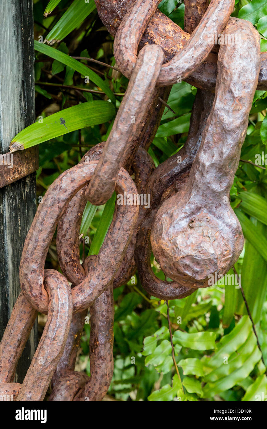 Il vecchio pesante catena arrugginita su verde Foto Stock