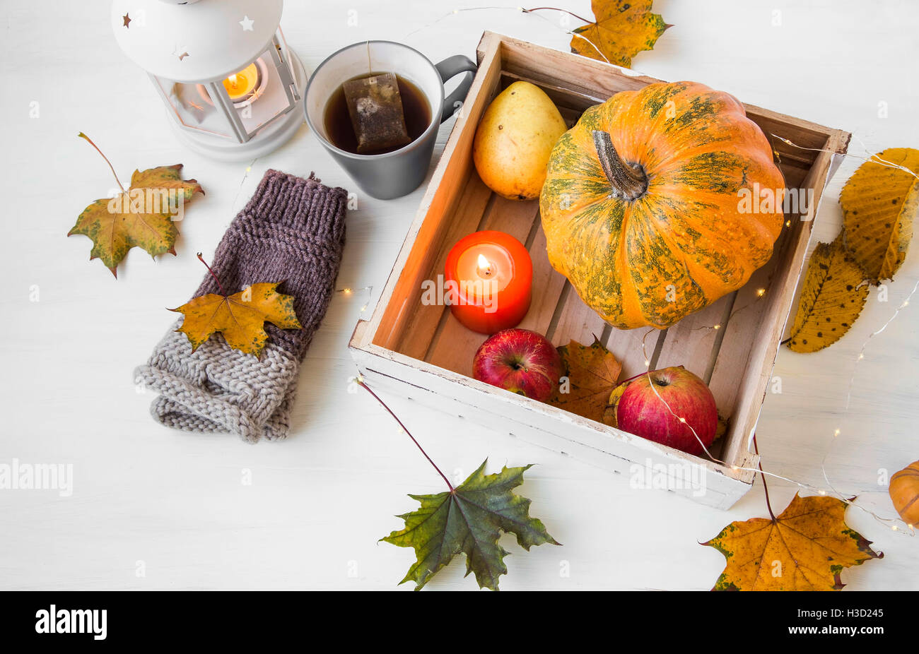 Decorazioni in autunno con la zucca, candela lanterna, luci e cadono le foglie,handwarmers di lana, le mele e le pere al vassoio in legno su bianco Foto Stock