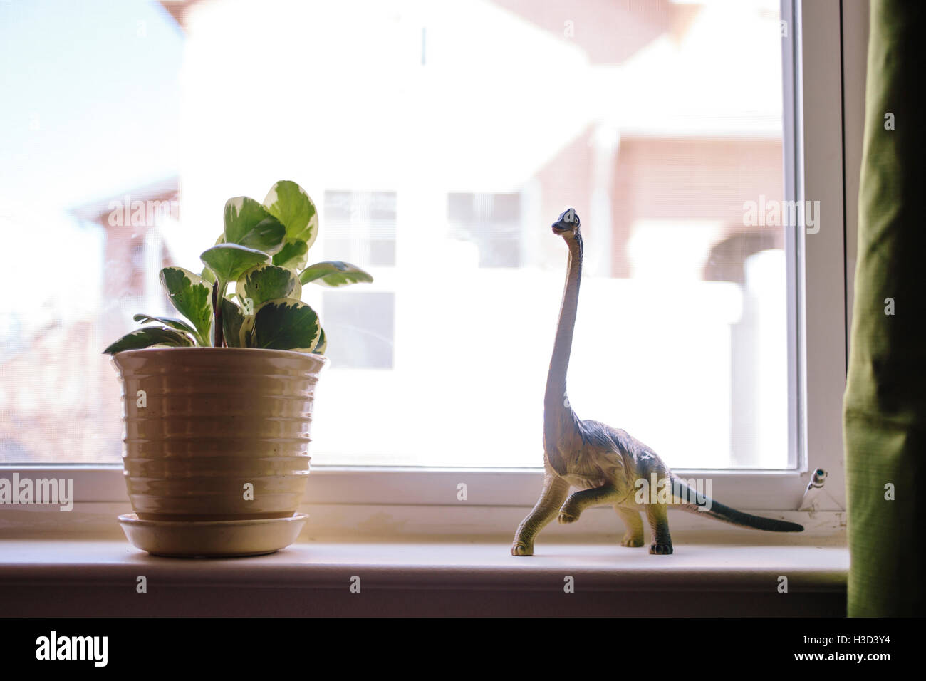 Dinosauro giocattolo e pianta in vaso sul davanzale della finestra Foto Stock