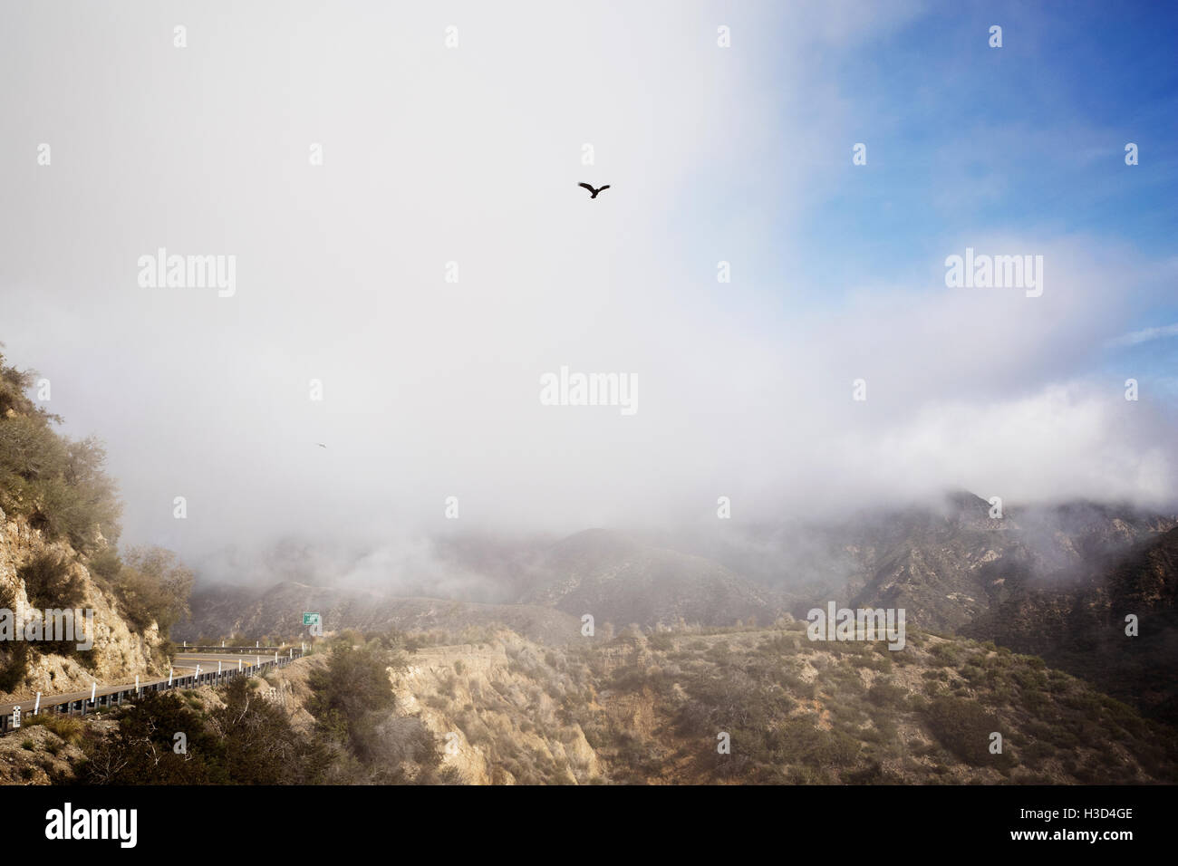 Vista panoramica di uccello volando sul paesaggio contro il cielo nuvoloso Foto Stock