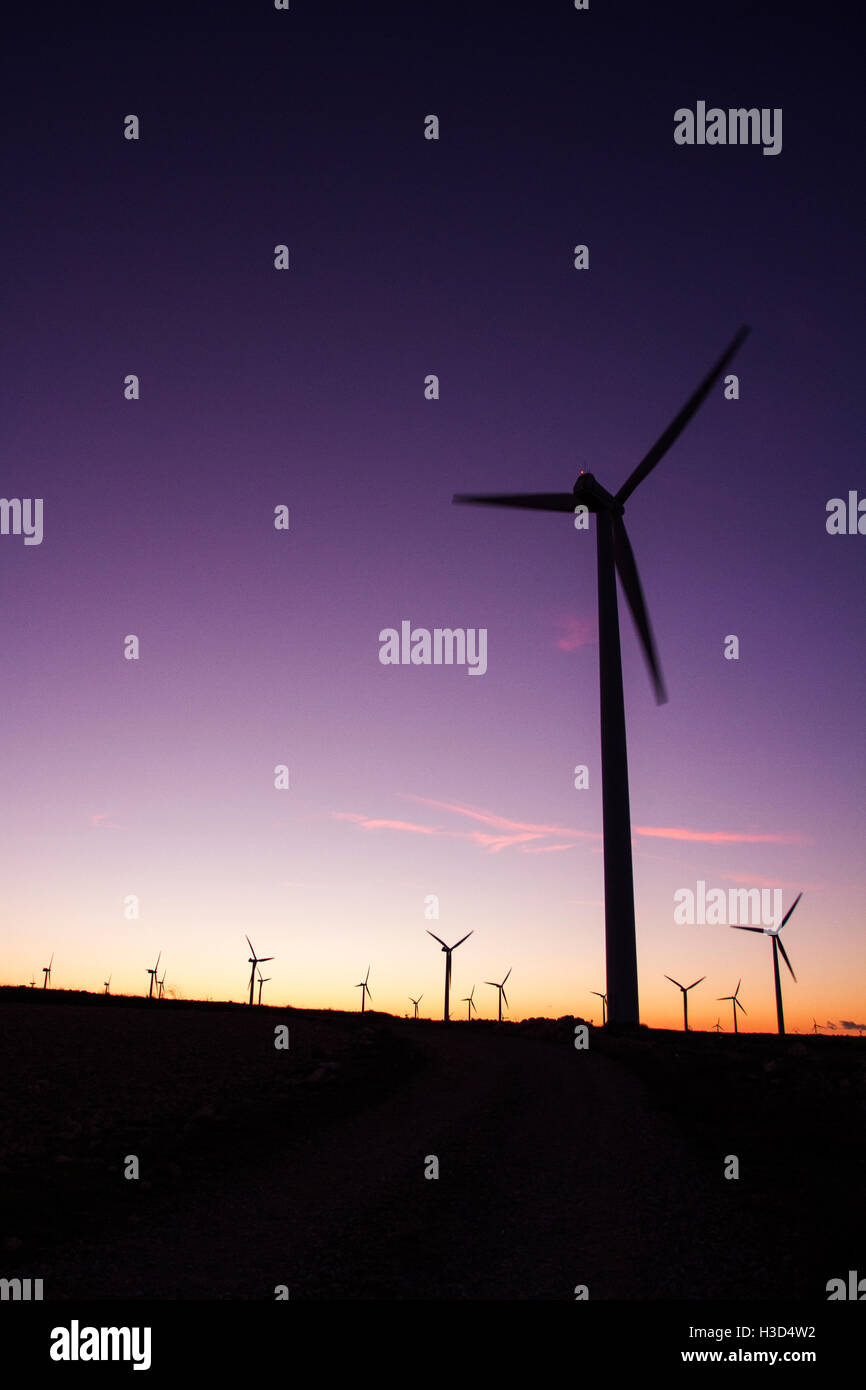 Le turbine eoliche in campo contro il cielo chiaro durante il tramonto Foto Stock