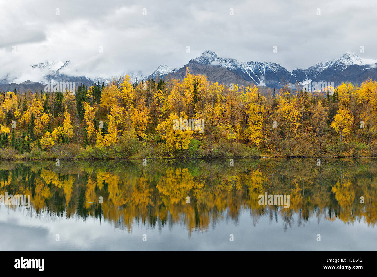Colori autunnali della foresta boreale riflette ancora in un lago, Alaska, STATI UNITI D'AMERICA Foto Stock