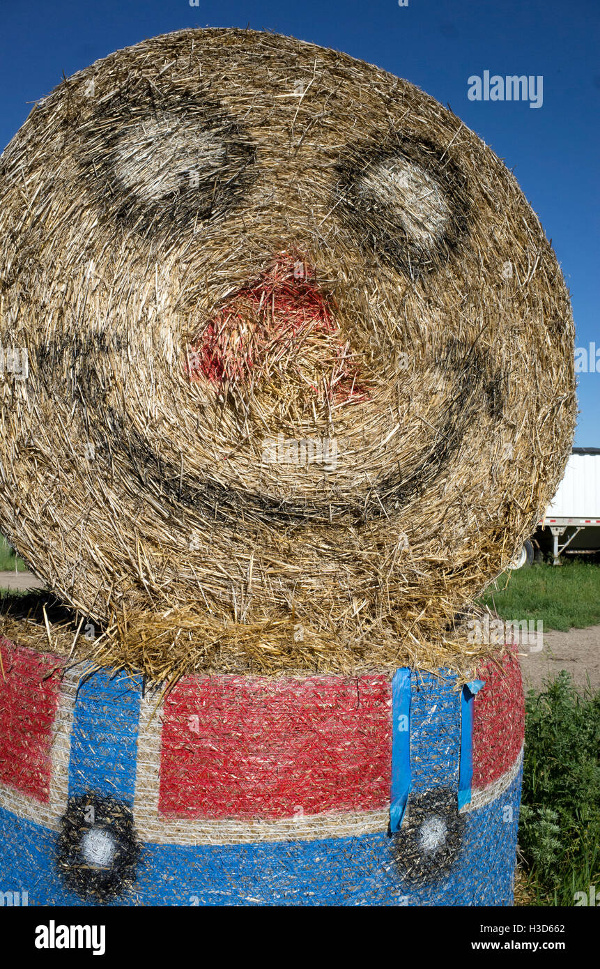 Sorridente Minion personaggio dei fumetti realizzato dalla fattoria i rotoli di fieno che indossa pantaloni blu e maglietta rossa. Clitherall Minnesota MN USA Foto Stock