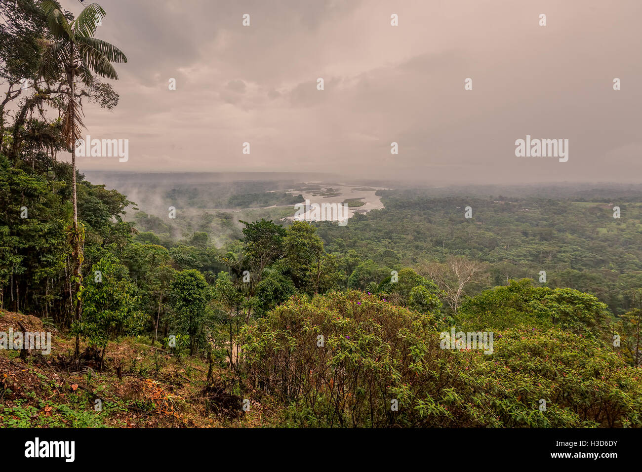 Parte ecuadoriana del bacino amazzonico, Ecuador, Sud America Foto Stock