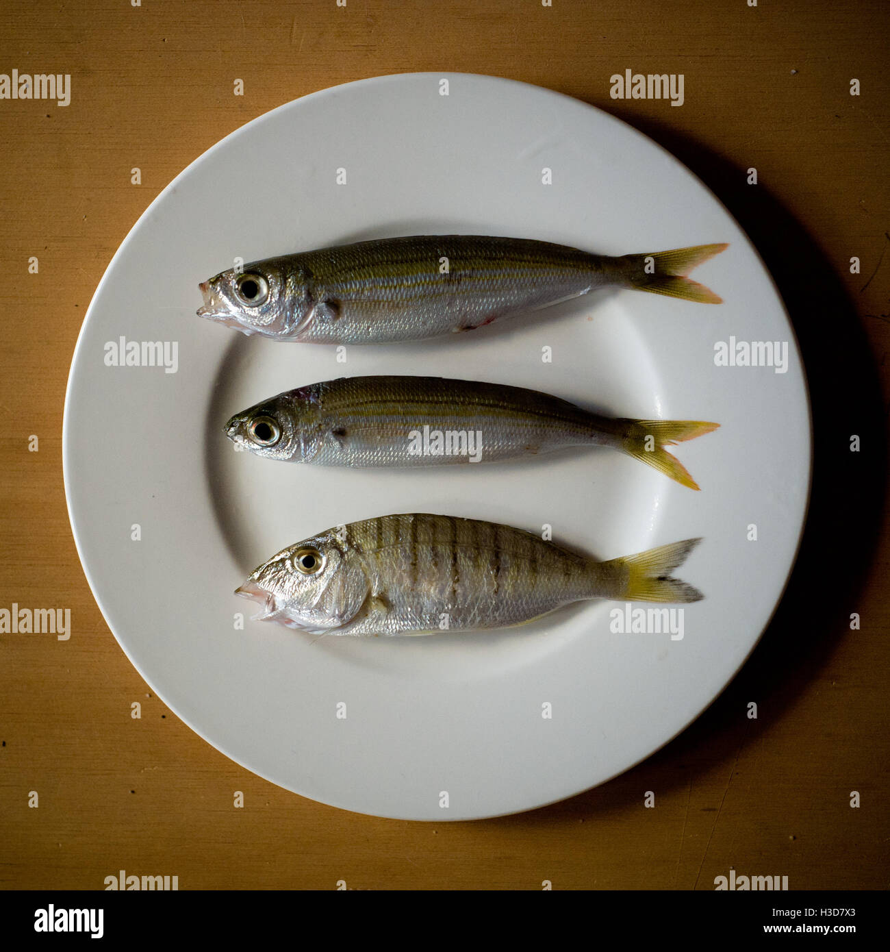 Pesce fresco Foto Stock