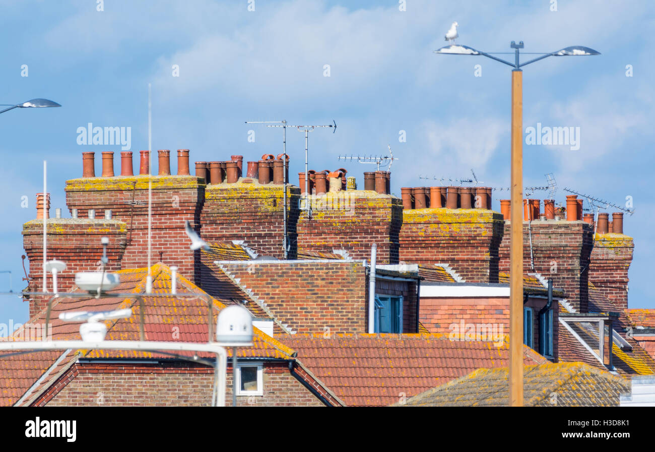 Fila di mattoni rossi ciminiere su vecchie case nel Regno Unito. Foto Stock