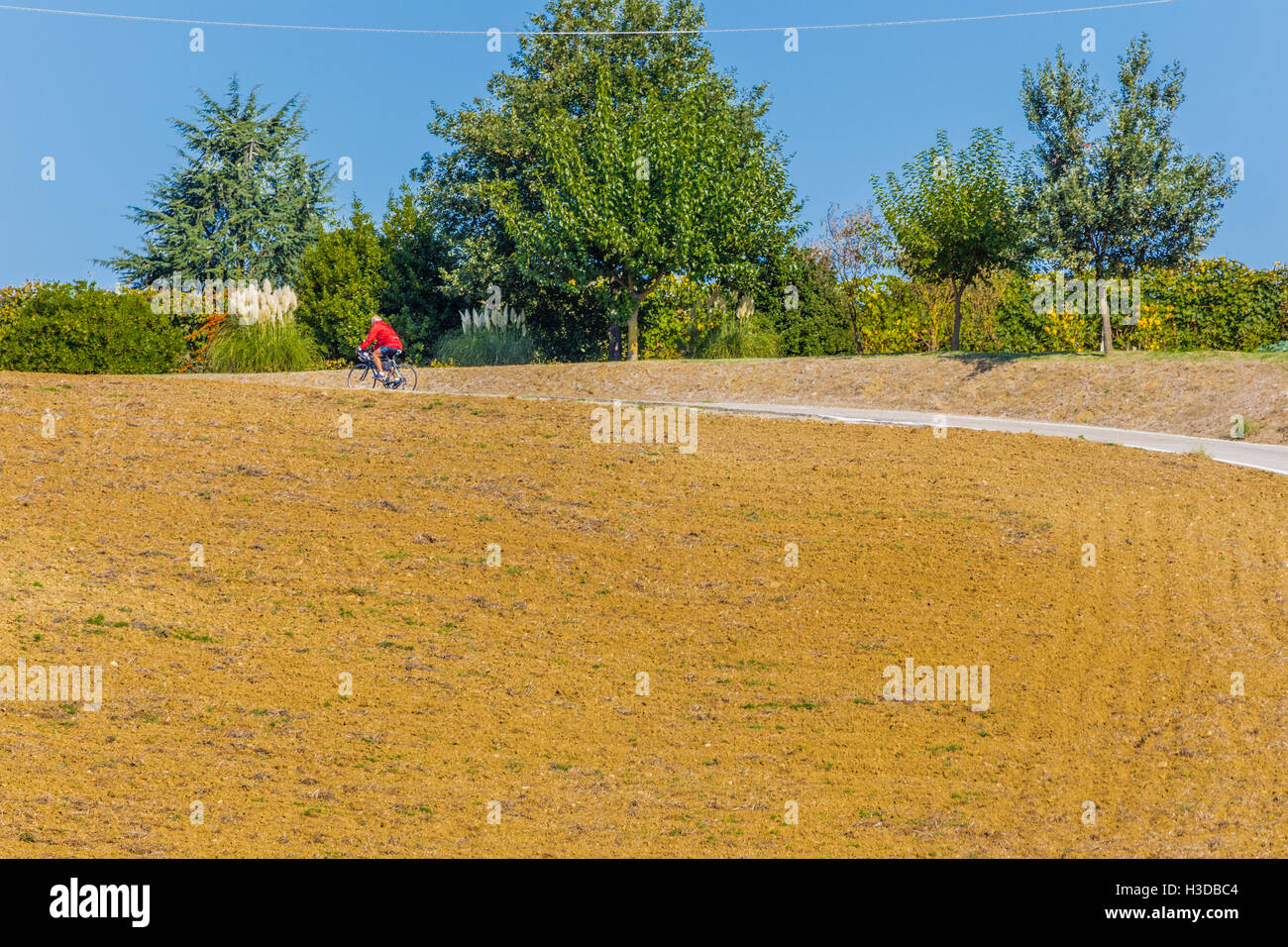 Senior ciclista su una salita della strada a serpentina attraverso i campi arati della campagna Toscana ed Emilia appenniniche Foto Stock