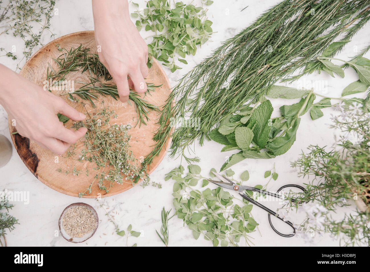 Vista aerea di una donna la preparazione delle erbe e delle piante per uso in cucina. Il rosmarino, erba cipollina, menta e semi di coriandolo. Foto Stock