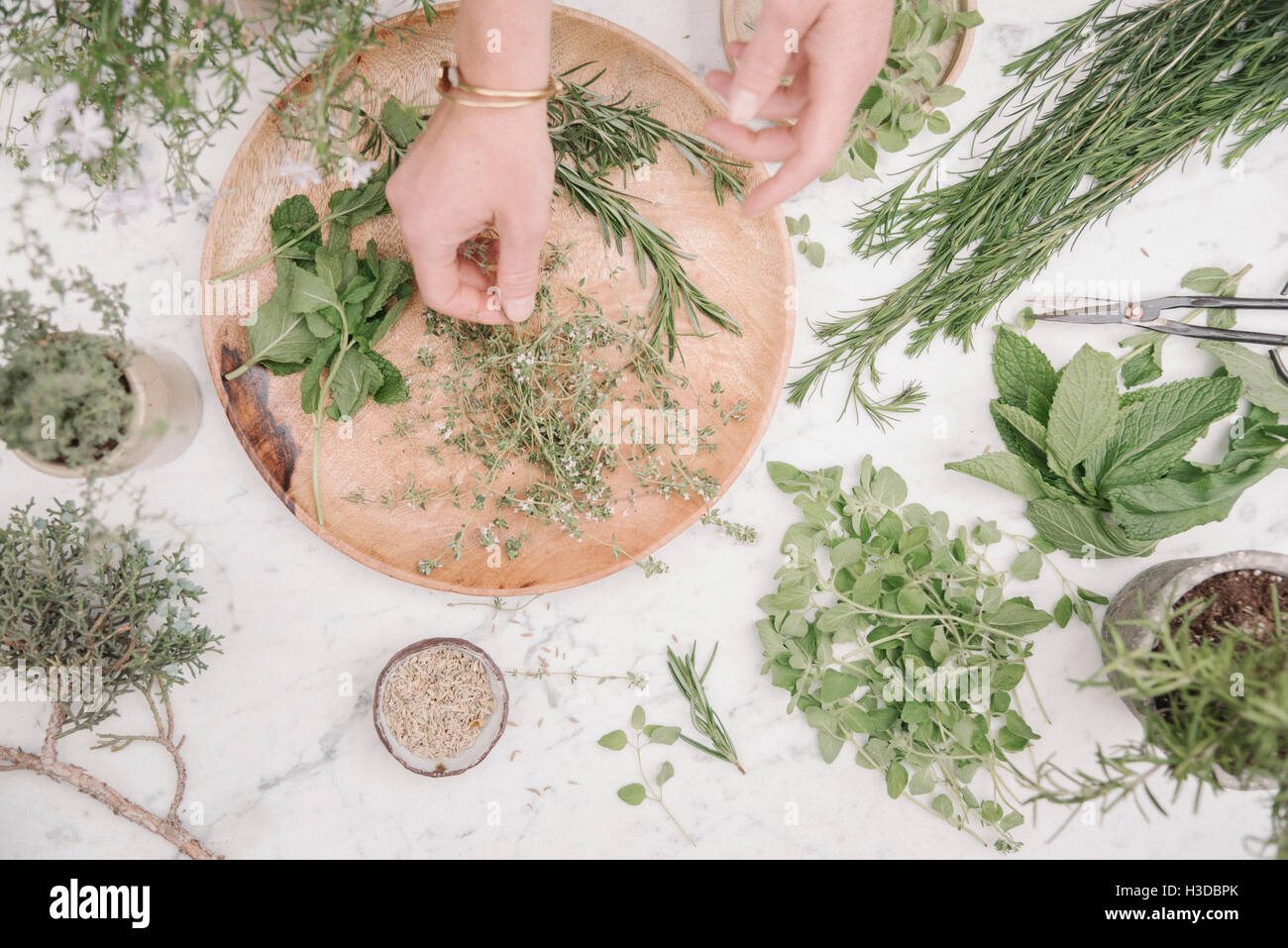 Vista aerea di una donna la preparazione delle erbe e delle piante per uso in cucina. Il rosmarino, erba cipollina, menta e semi di coriandolo. Foto Stock