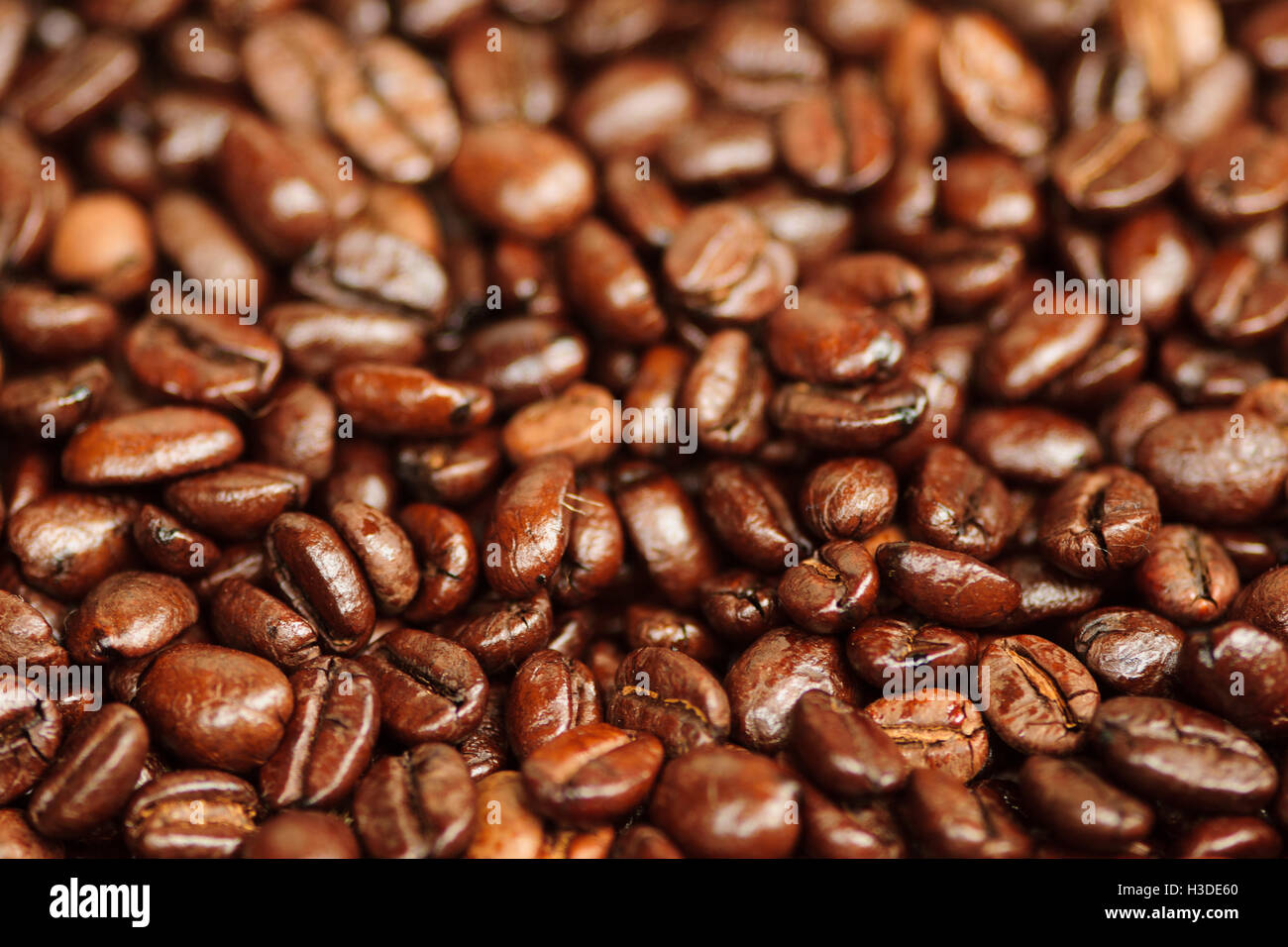 I chicchi di caffè in vendita nel mercato Foto Stock