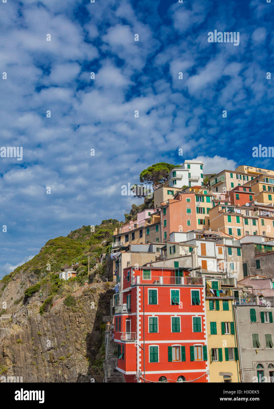 Riomaggiore è uno di cinque famosi villaggi colorati delle Cinque Terre in Italia, sospesa tra la terra e il mare a picco sulla scogliera. Foto Stock