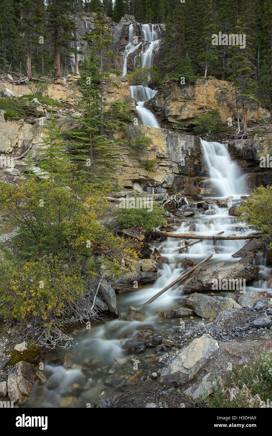 Una lunga esposizione foto del groviglio cade sulla Icefield Parkway di Alberta, Canada, adottata nel mese di agosto 2016. Foto Stock