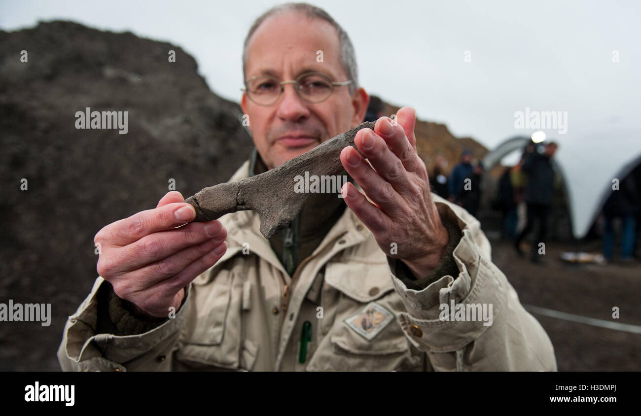 Pampau lordo, Germania. 6 Ottobre, 2016. Un vertebrato paleontologo Oliver Hampe dall Università Humboldt di Berlino tenendo un fossilizzato balena in osso Pampau lordo, Germania, 6 ottobre 2016. Amateur paleontologi scoperto uno scheletro whle circa 11 milioni di anni in una cava di ghiaia vicino ad Amburgo. Foto: PHILIPP SCHULZE/DPA/Alamy Live News Foto Stock