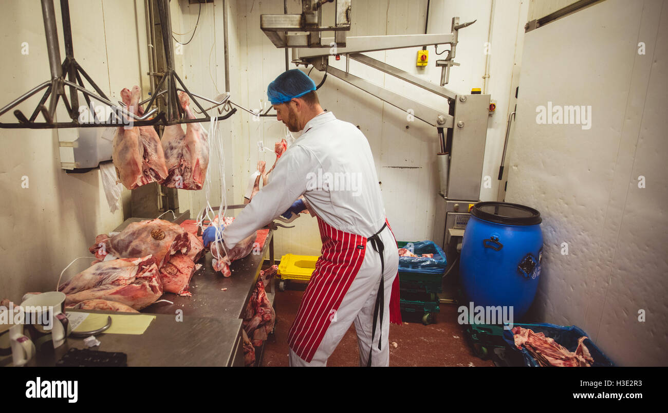Butcher appendere le carni rosse nella stanza di deposito Foto Stock