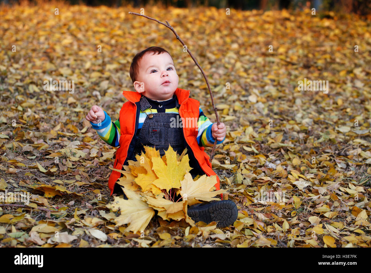 Carino piccolo ragazzo outdoor ritratto d'autunno, la calda atmosfera dell'immagine Foto Stock